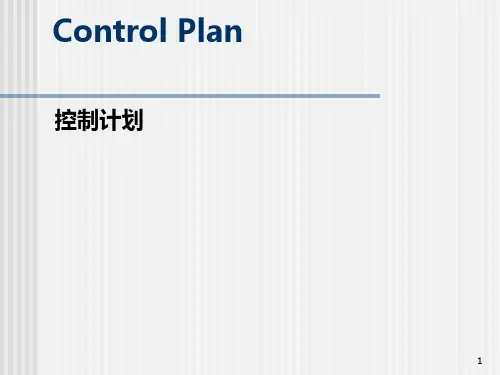 Control-Plan培训教材PPT课件