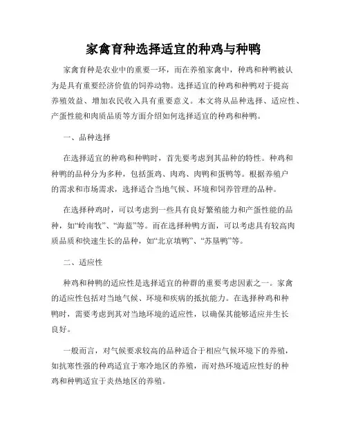 家禽育种选择适宜的种鸡与种鸭