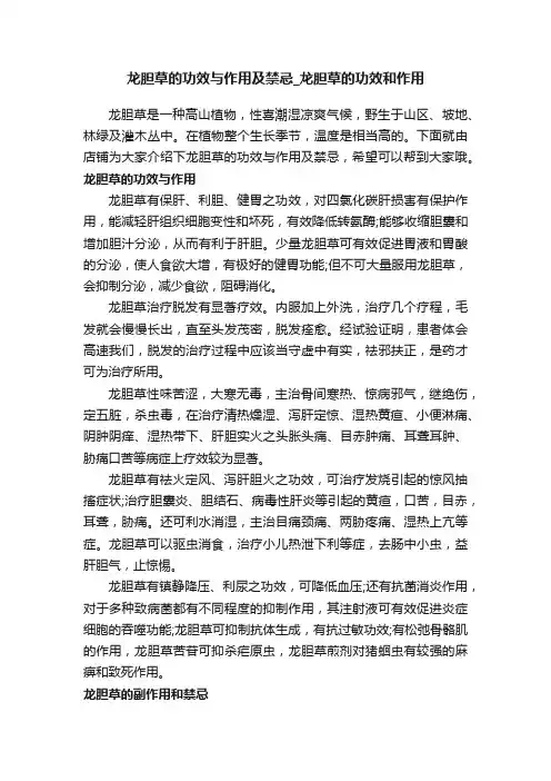龙胆草的功效与作用及禁忌_龙胆草的功效和作用