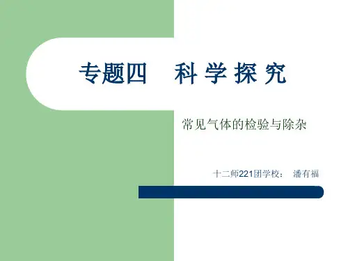 常见气体的检验与除杂