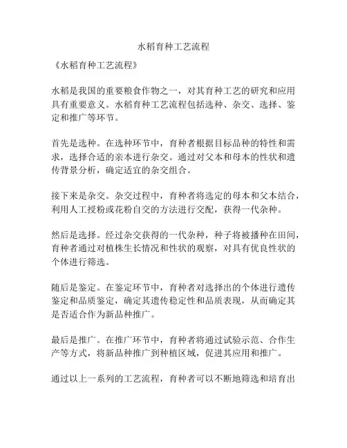 水稻育种工艺流程