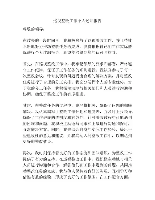 巡视整改工作个人述职报告