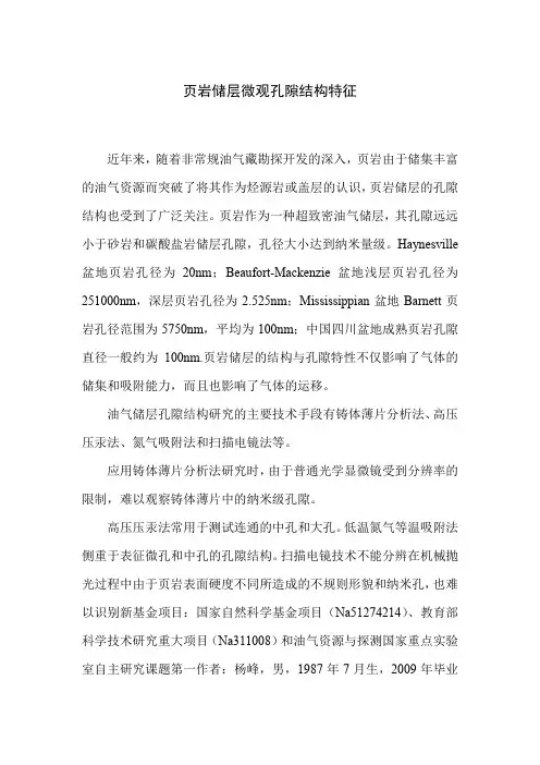 页岩储层微观孔隙结构特征
