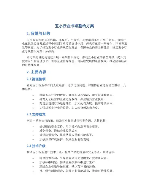 五小行业专项整治方案