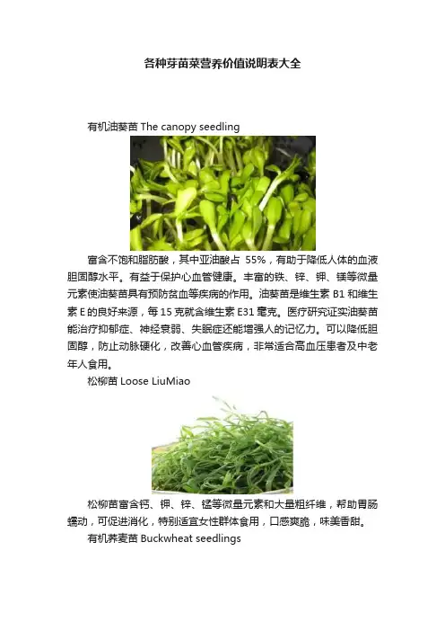 各种芽苗菜营养价值说明表大全