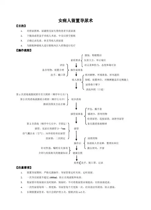 导尿的知识点、操作流程、评分标准