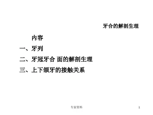 牙合学牙合的解剖生理专家专业