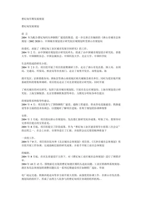 曹妃甸早期发展规划