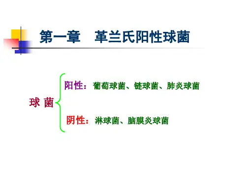 第一章 革兰氏阳性球菌