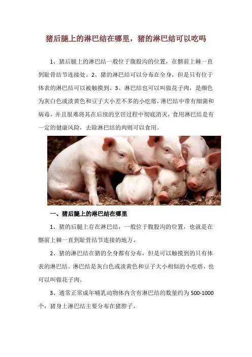 猪后腿上的淋巴结在哪里,猪的淋巴结可以吃吗