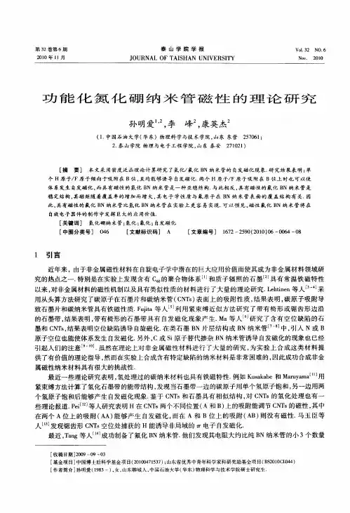 功能化氮化硼纳米管磁性的理论研究