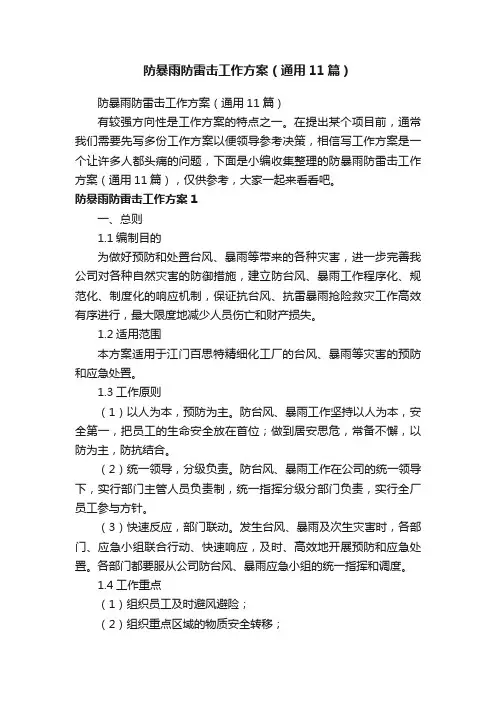 防暴雨防雷击工作方案（通用11篇）