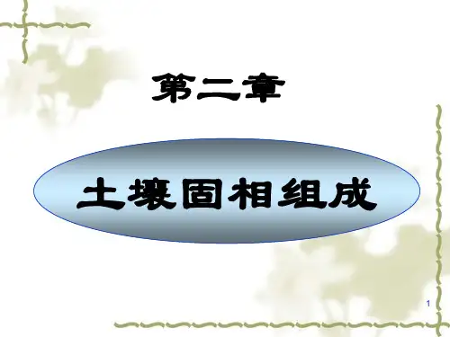 土壤学课件第二章土壤固相的物质组成