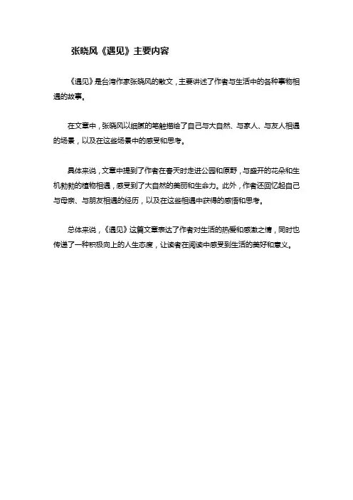 张晓风《遇见》主要内容