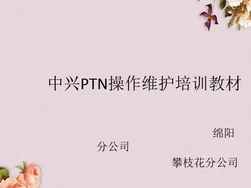 中兴PTN操作维护培训教材(ppt 68页)