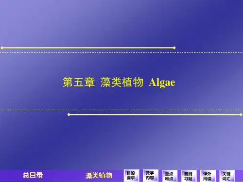 药用植物学第五章藻类植物