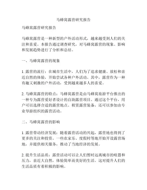马蜂窝露营研究报告