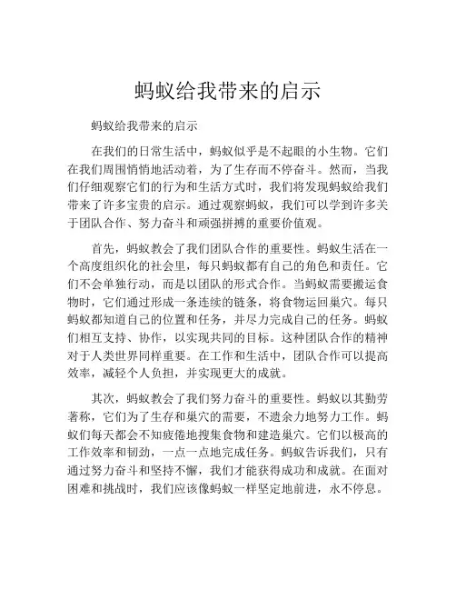 蚂蚁给我带来的启示