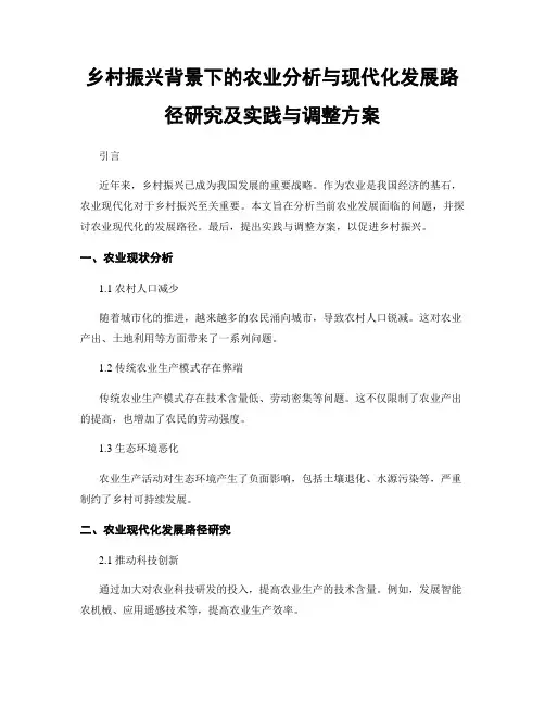乡村振兴背景下的农业分析与现代化发展路径研究及实践与调整方案