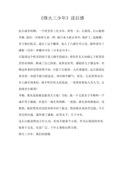 四年级读后感《烽火三少年》读后感