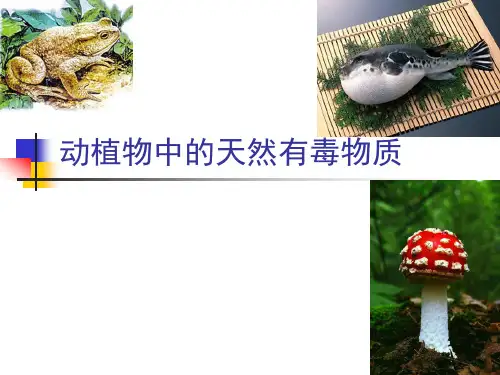 3-6动植物中的天然有毒物质