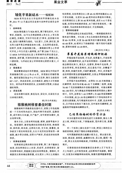 猕猴桃树修剪最佳时期
