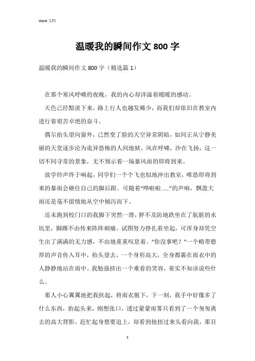 温暖我的瞬间作文800字