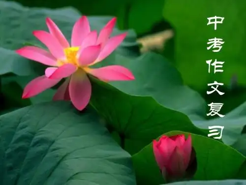 中考作文复习PPT (共27张PPT)