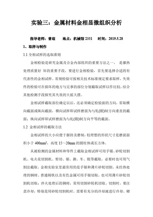 金属材料金相微观组织分析