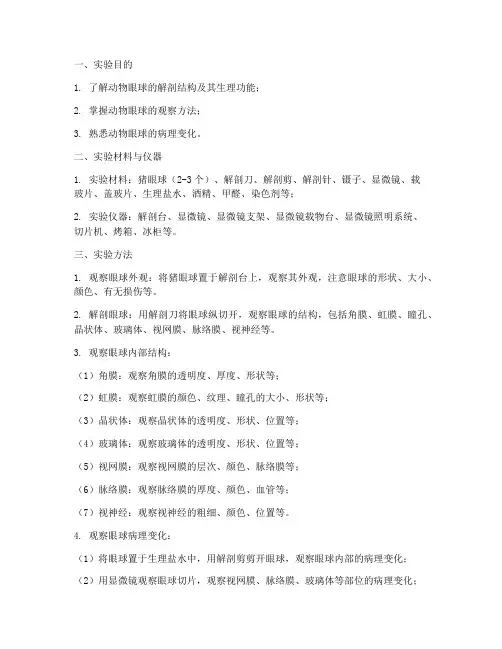 动物眼球实验报告