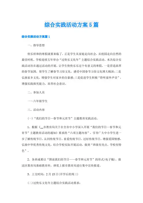 综合实践活动方案5篇