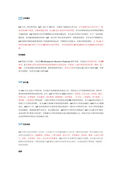 sap介绍