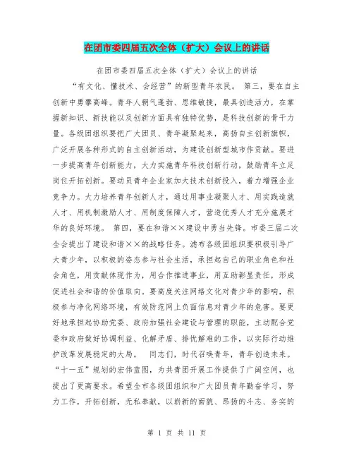 在团市委四届五次全体(扩大)会议上的讲话