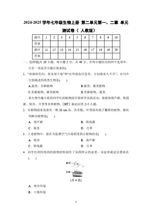 2024-2025学年七年级生物上册 第二单元第一、二章 单元测试卷( 人教版)