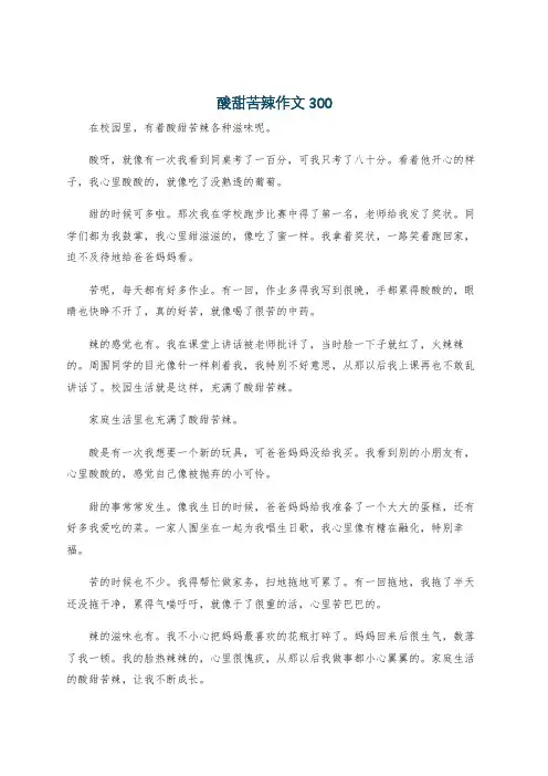 酸甜苦辣作文300
