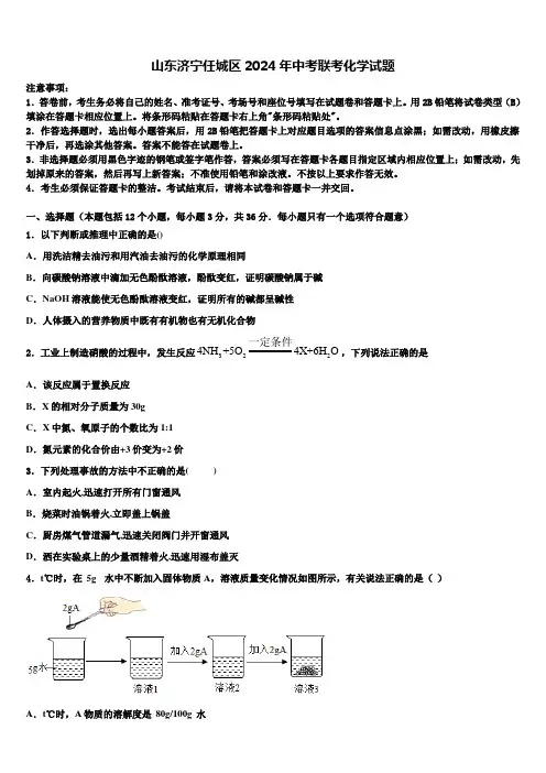 山东济宁任城区2024届中考联考化学试题含解析