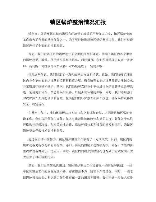 镇区锅炉整治情况汇报