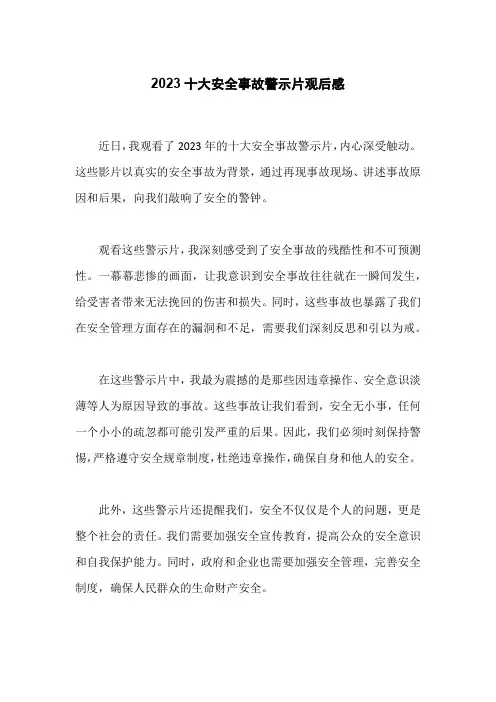2023十大安全事故警示片观后感