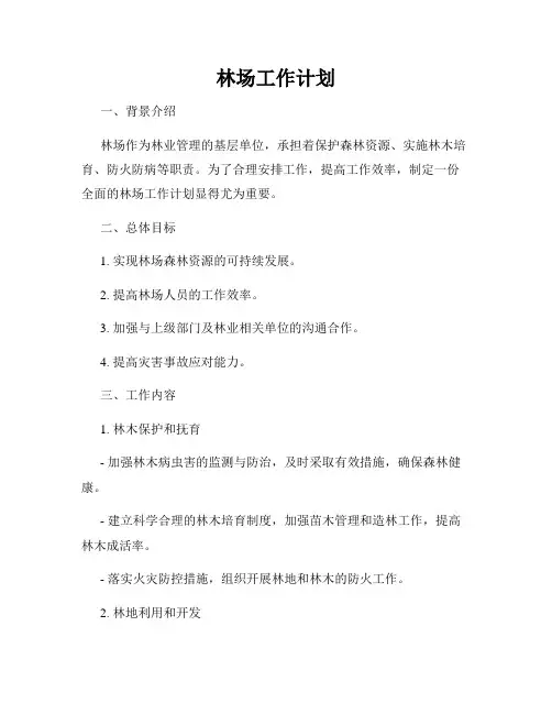 林场工作计划