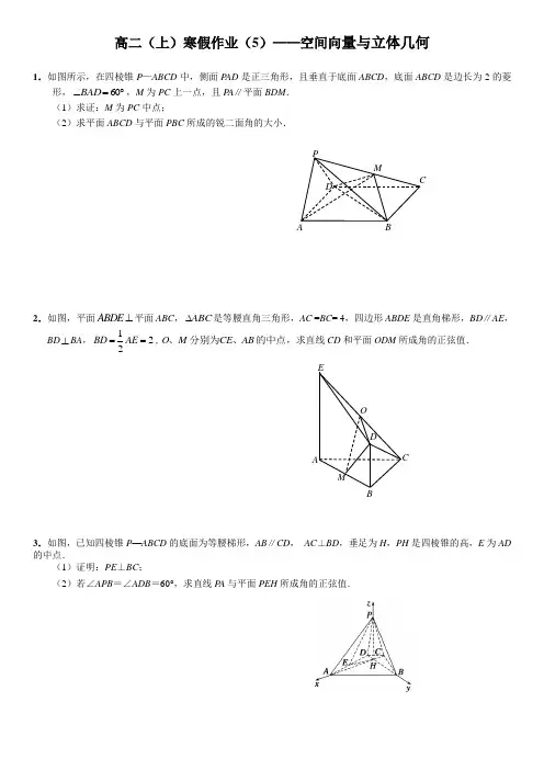 高二数学寒假作业(5)空间向量与立体几何