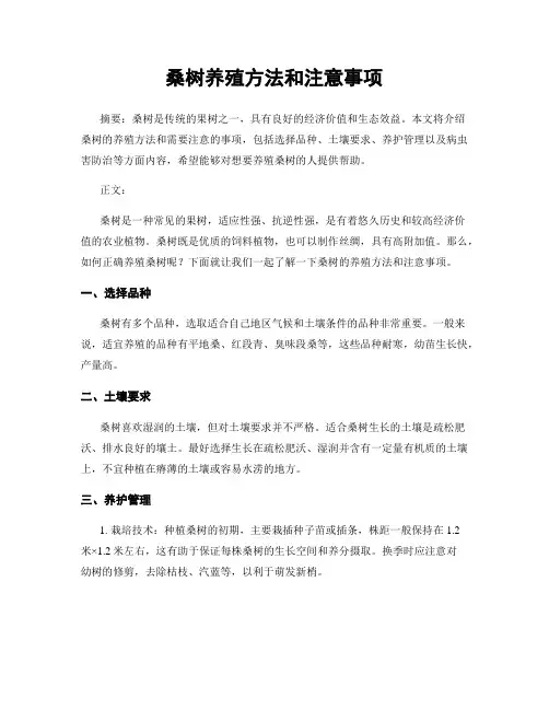桑树养殖方法和注意事项