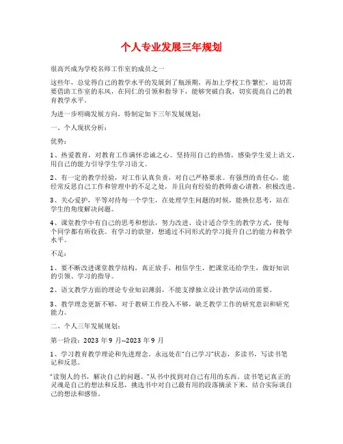 个人专业发展三年规划