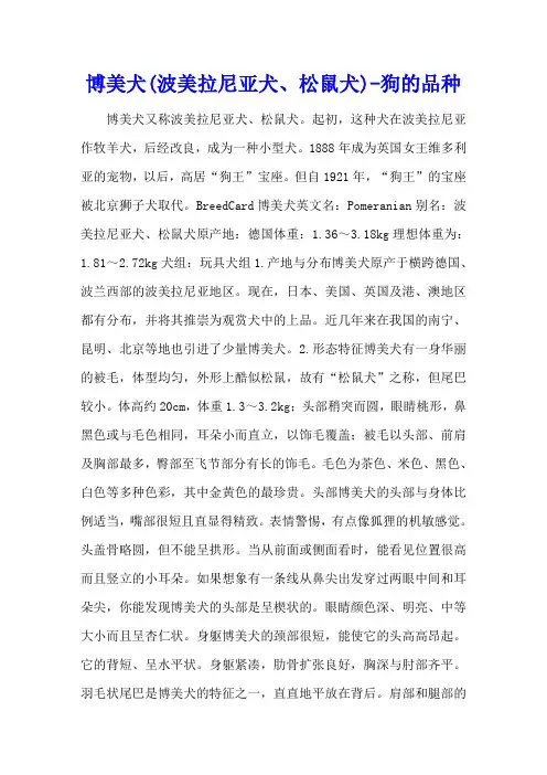 博美犬(波美拉尼亚犬、松鼠犬) - 狗的品种
