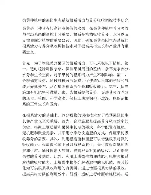 桑葚种植中的果园生态系统根系活力与养分吸收调控技术研究