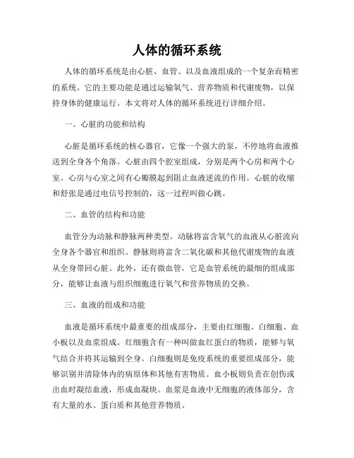 人体的循环系统