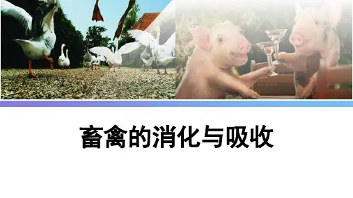 畜禽对饲料的消化课件(共15张PPT)《畜禽营养与饲料》(高教版)