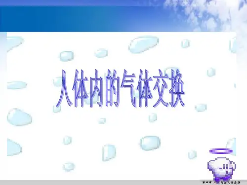 第四节人体内的气体交换-幻灯片(1)