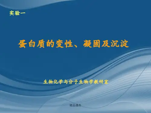 实验一蛋白质变性凝固及沉淀(WT)