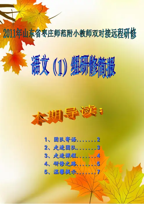 远程研修简报