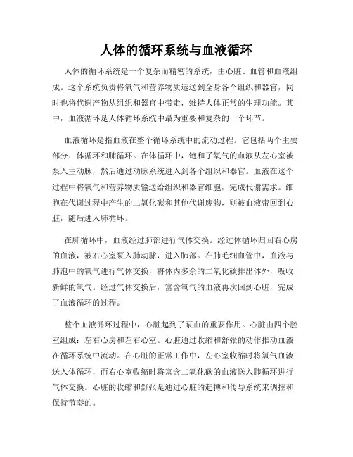 人体的循环系统与血液循环